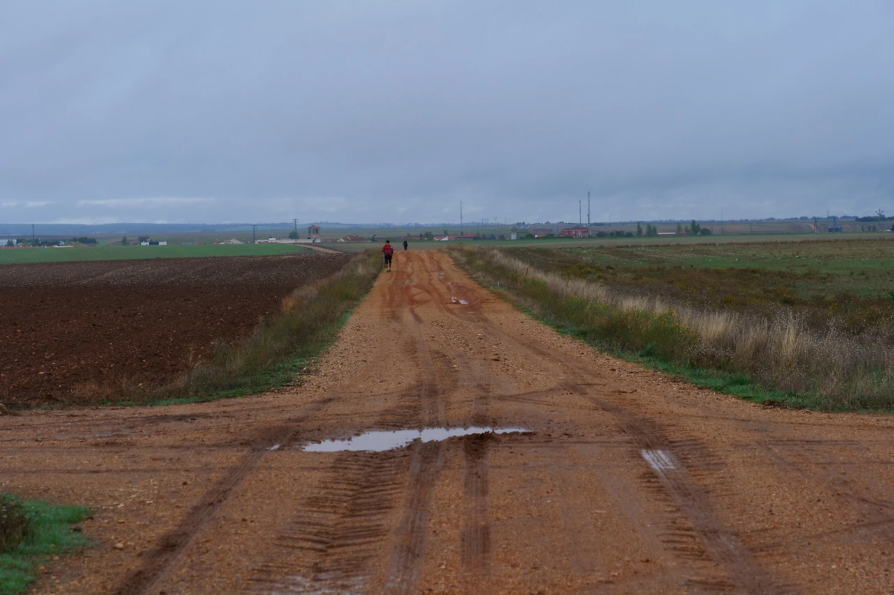 P1154364.JPG