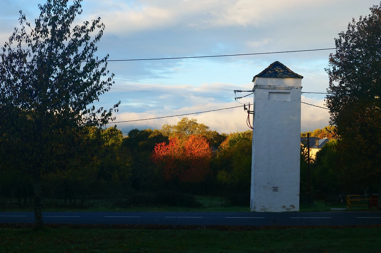 P1154728.JPG