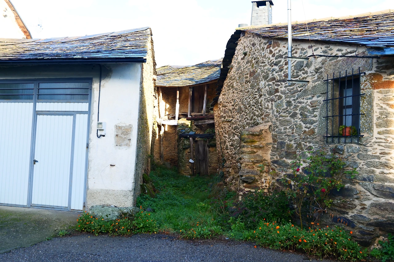 P1154740.JPG