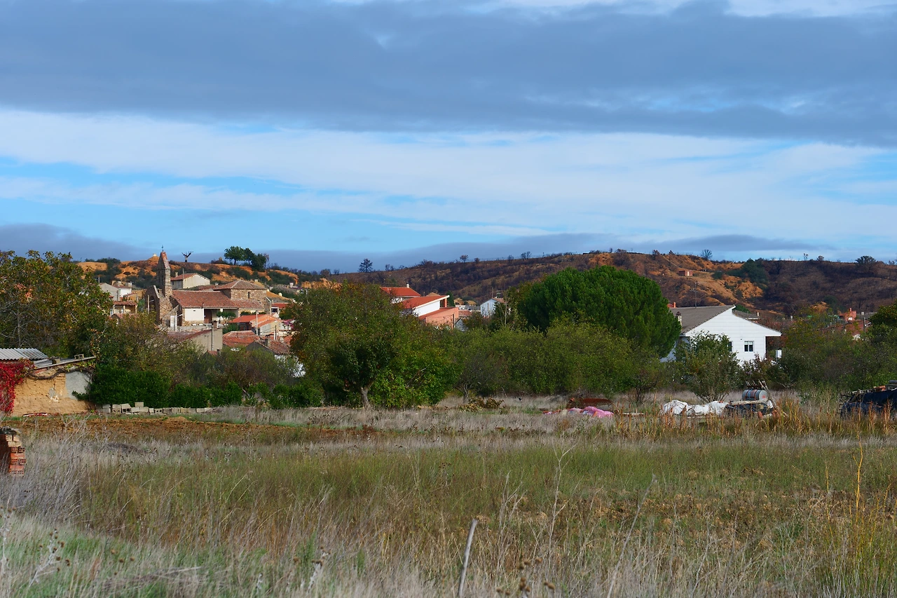 P1154650.JPG