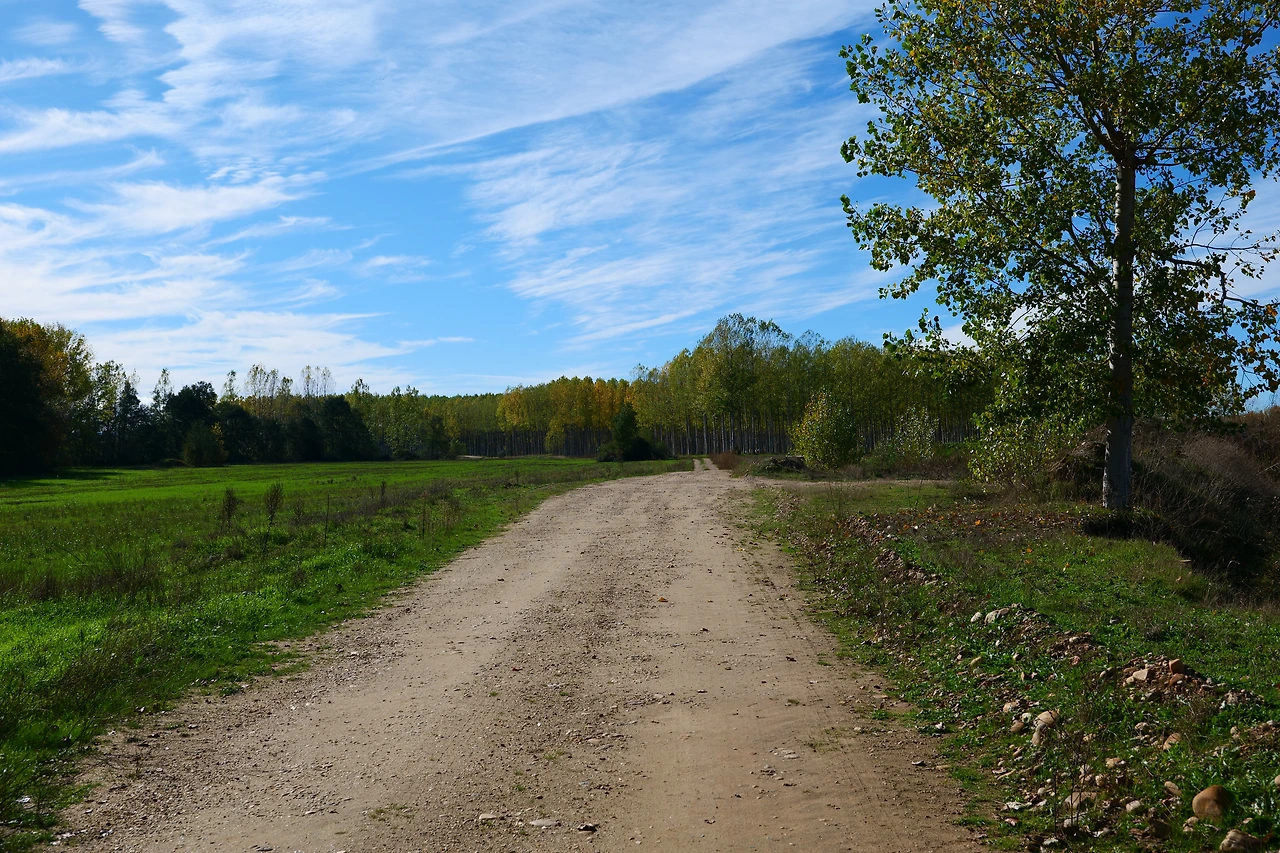 P1154656.JPG