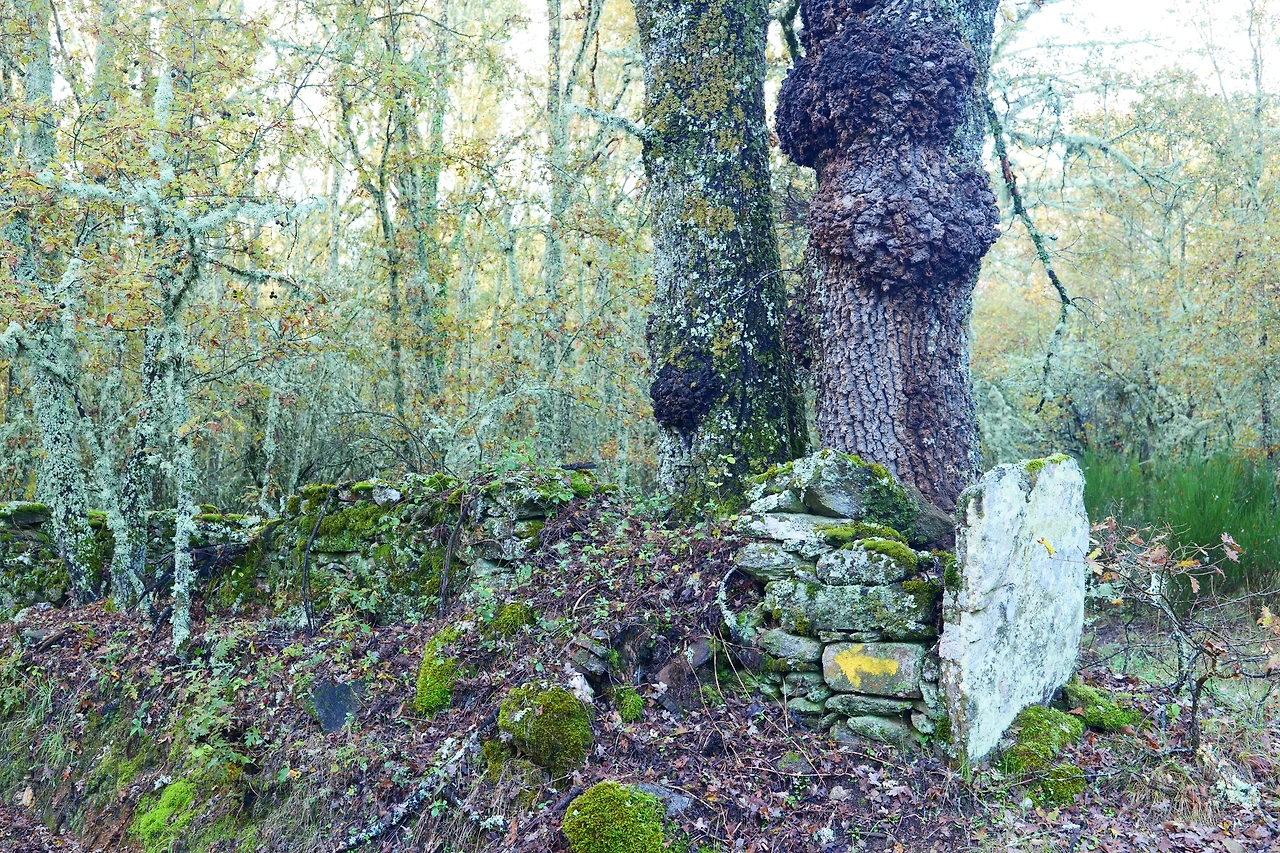 P1154738.JPG