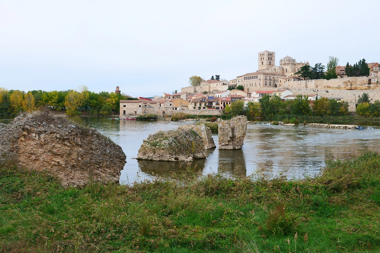 P1154427.JPG