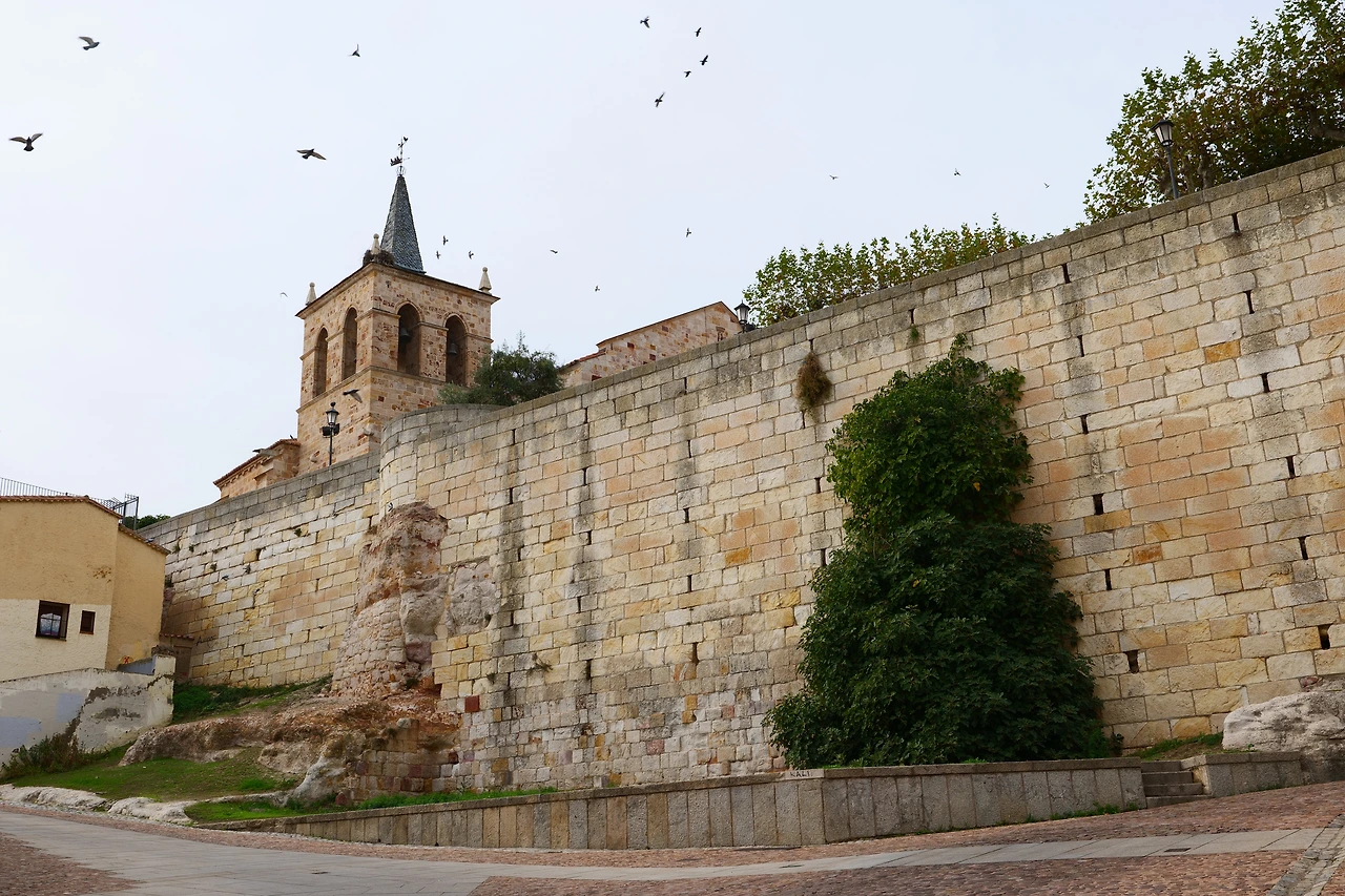 P1154448.JPG