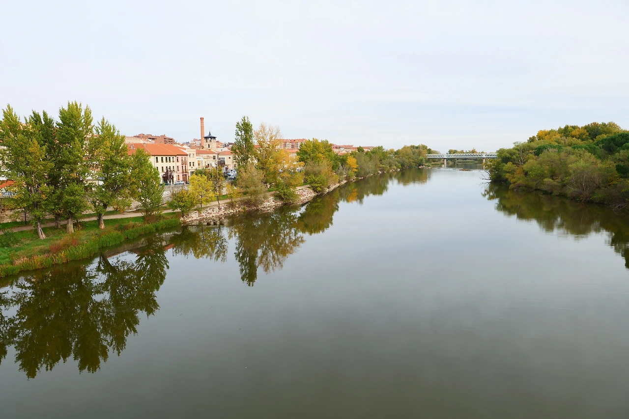 P1154442.JPG