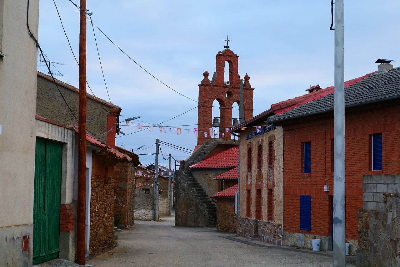 P1154674.JPG