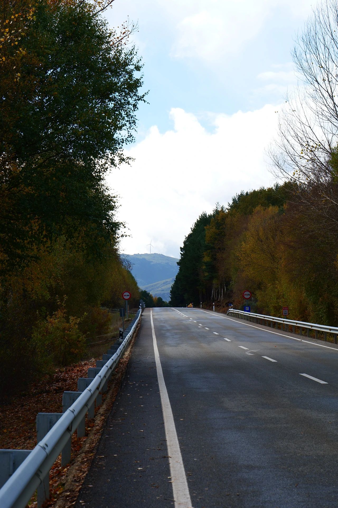 P1154794.JPG