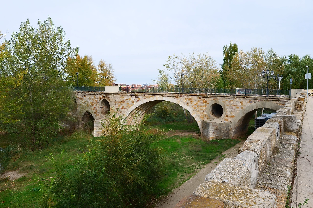 P1154432.JPG