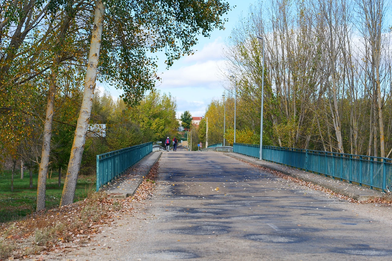 P1154654.JPG