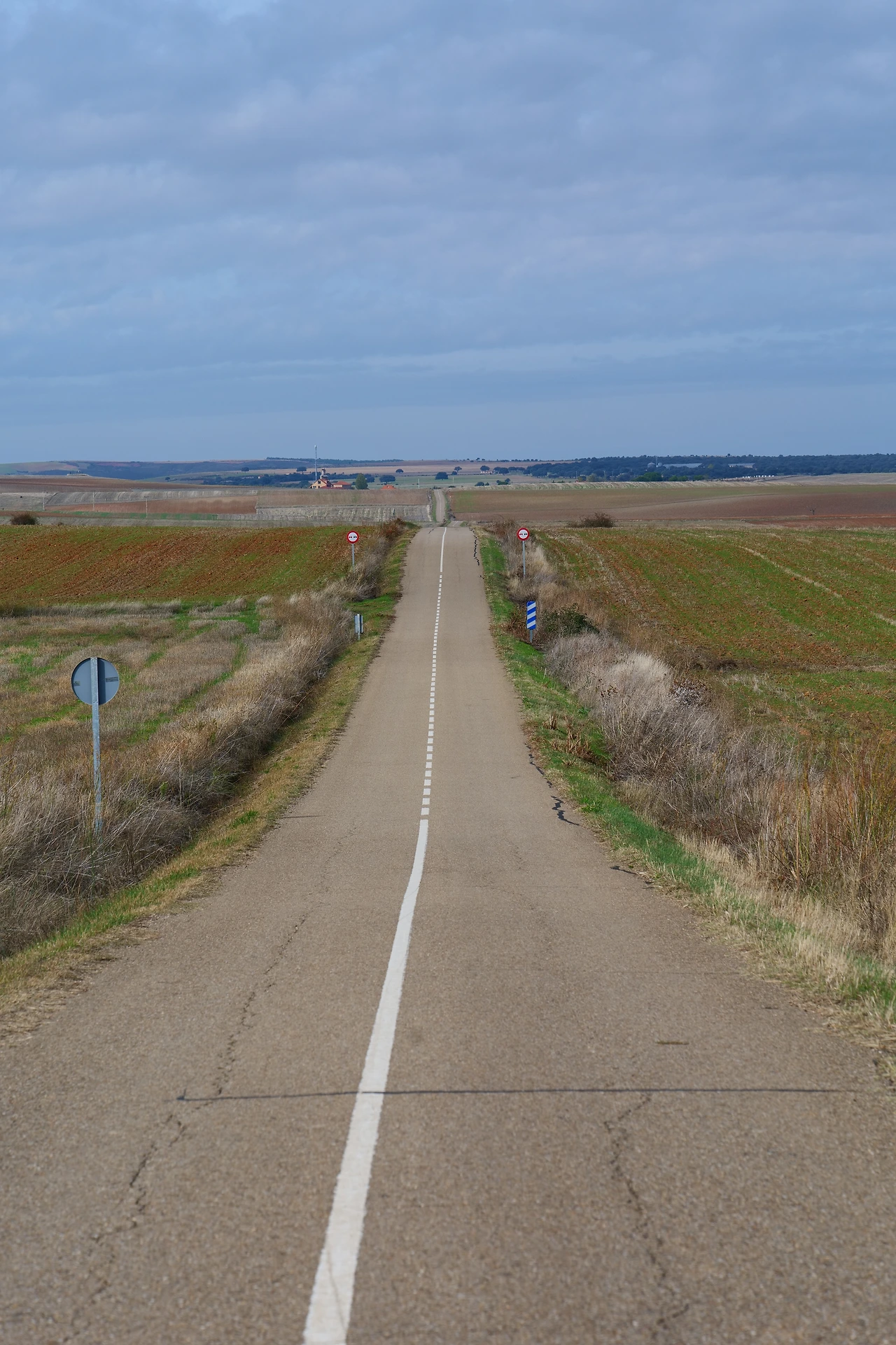 P1154413.JPG
