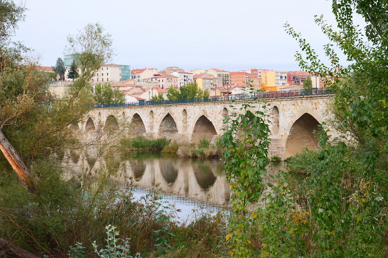 P1154431.JPG