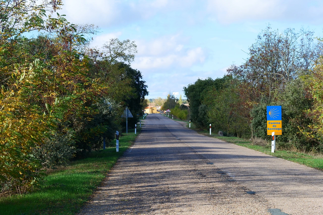 P1154376.JPG