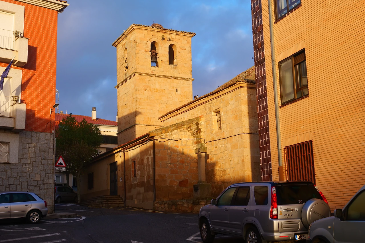 P1154353.JPG
