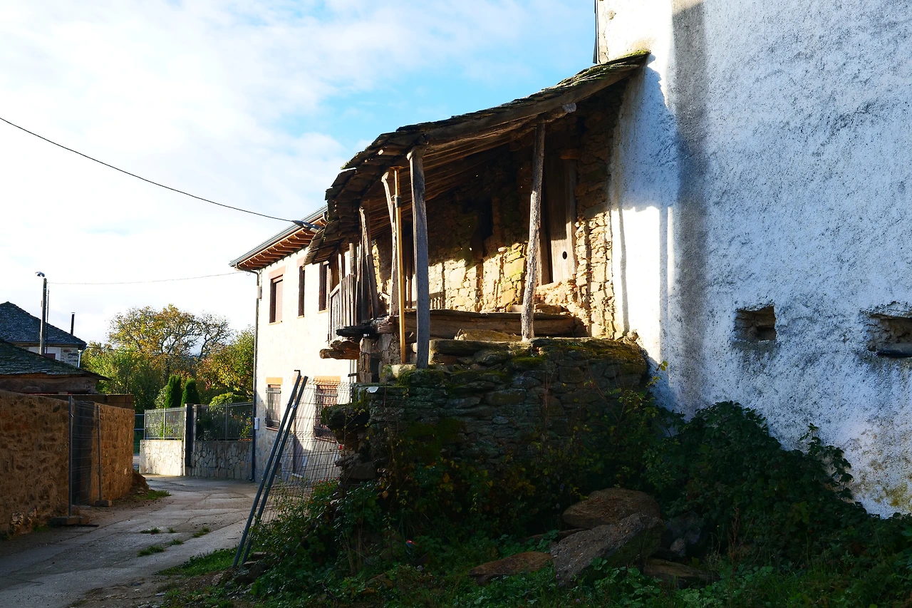 P1154742.JPG