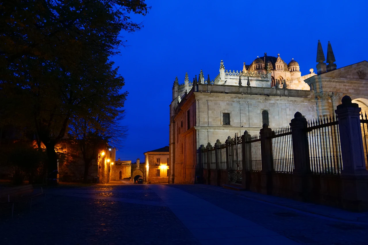 P1154533.JPG