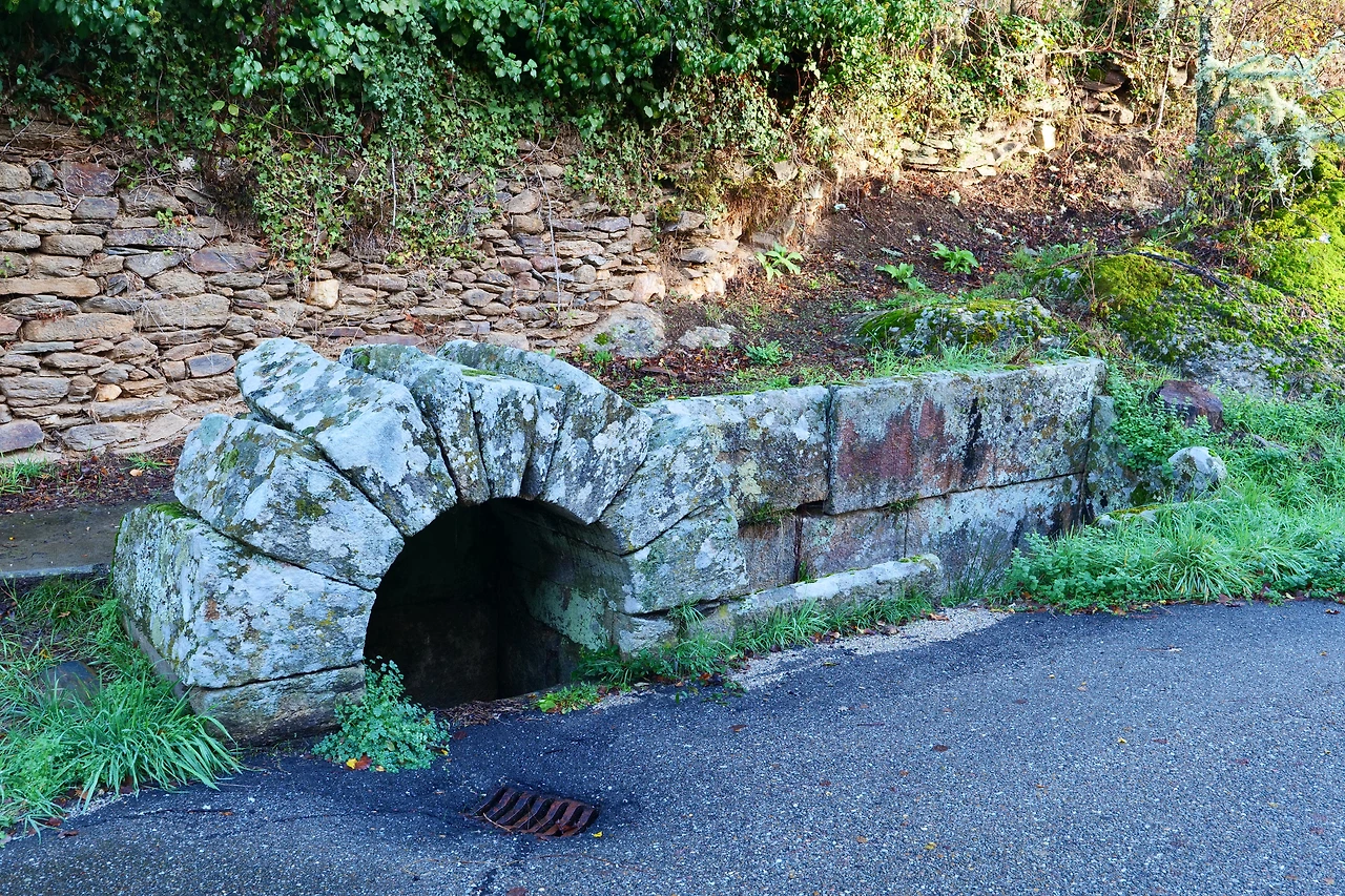 P1154741.JPG