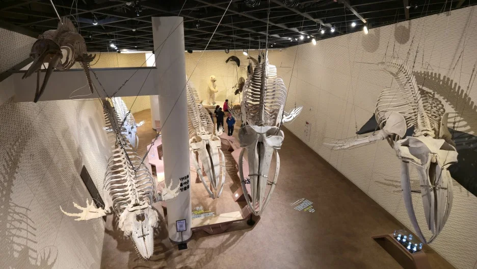 20260322_105507.jpg?type=w1