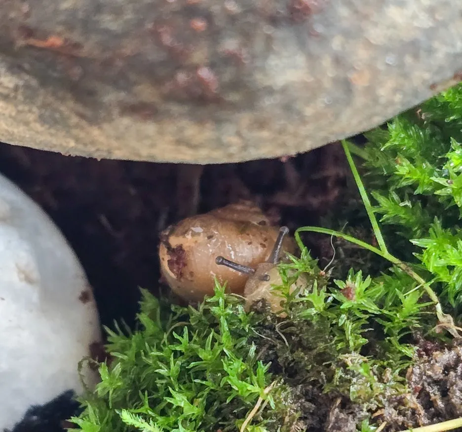 SE-b36bfece-856e-4072-821b-96a922308403.jpg?type=w1