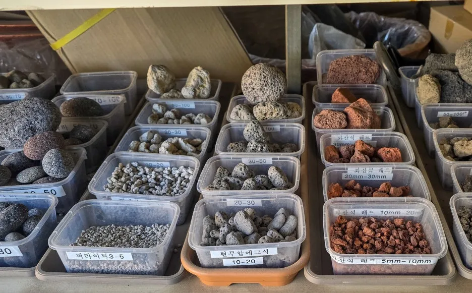 SE-06e4736c-7616-4d68-afa4-b8c487205002.jpg?type=w1