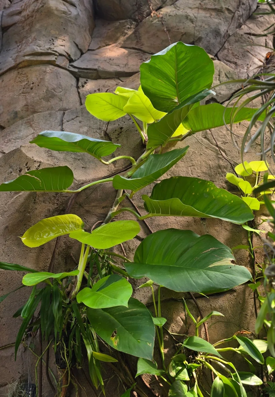 SE-c2866fd5-320b-4a26-ac70-de2f7e6ccfa8.jpg?type=w1