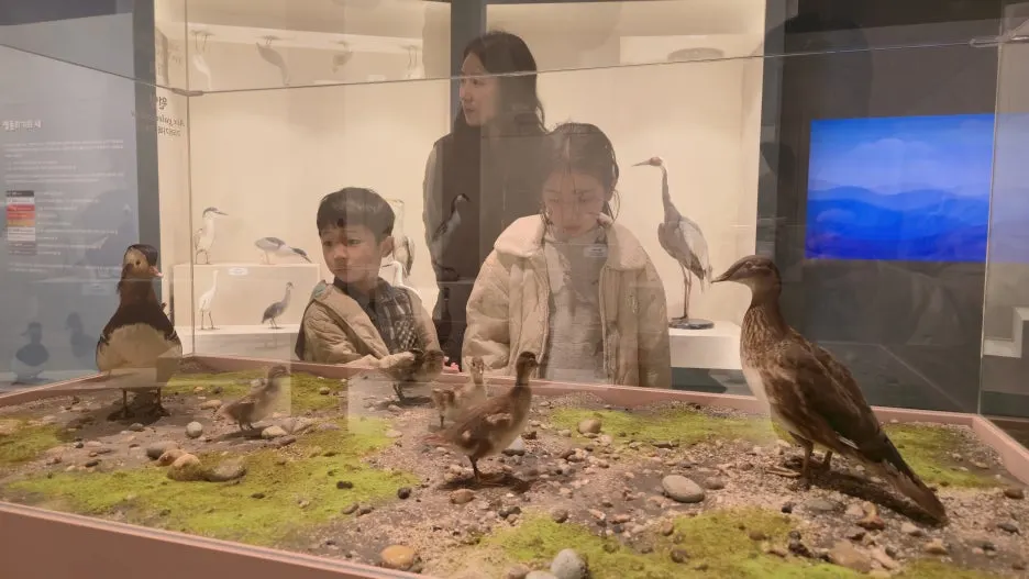 20260322_113446.jpg?type=w1