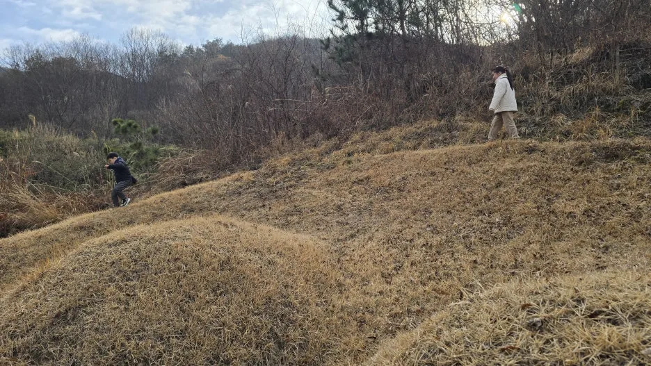 20260217_093211.jpg?type=w1