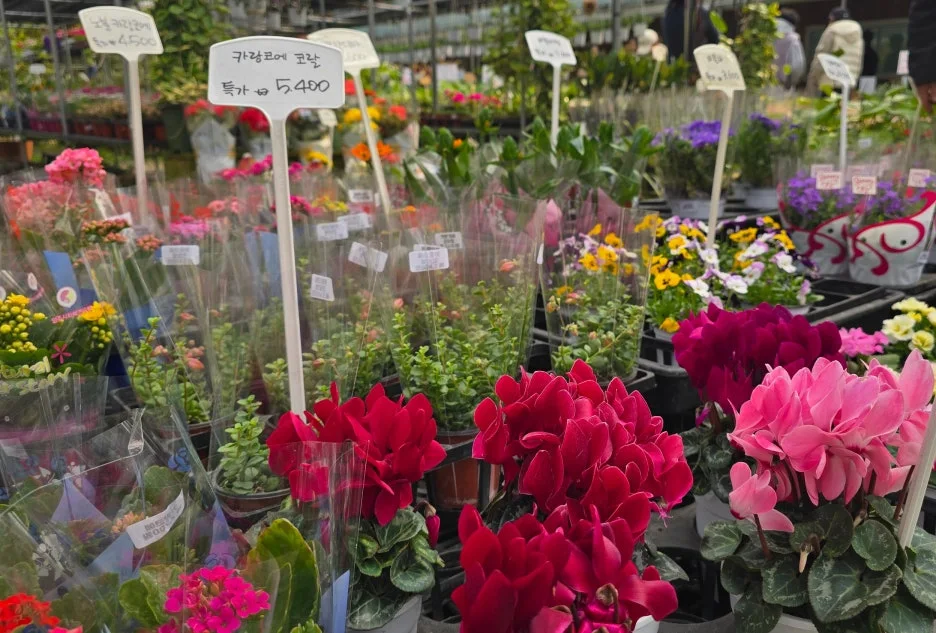 SE-0c2c7a80-a0ba-4ad8-95a0-e5db9be5b6c5.jpg?type=w1