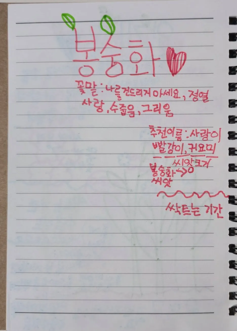 SE-5d2c5777-edf4-4864-9893-9b11d29098ff.jpg?type=w1