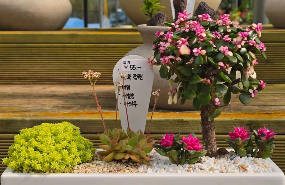 SE-d48211d6-3d19-40ab-b271-e1f935616060.jpg?type=w1