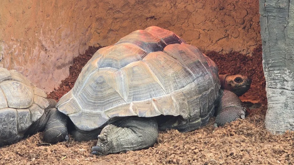 20260321_125406.jpg?type=w1