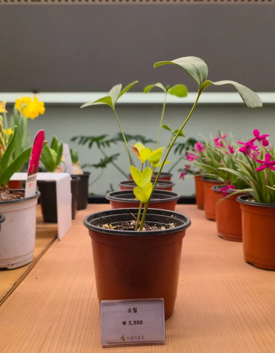 SE-baebfb78-2b99-4e14-ba5c-b41cb33b51ce.jpg?type=w1