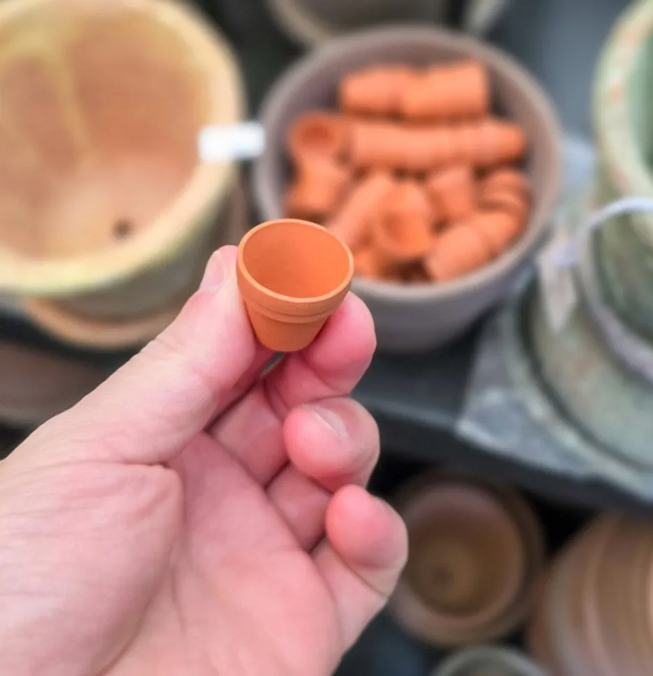 SE-ad6ecde9-9ce0-4a31-aabe-2fc39c21dfc7.jpg?type=w1