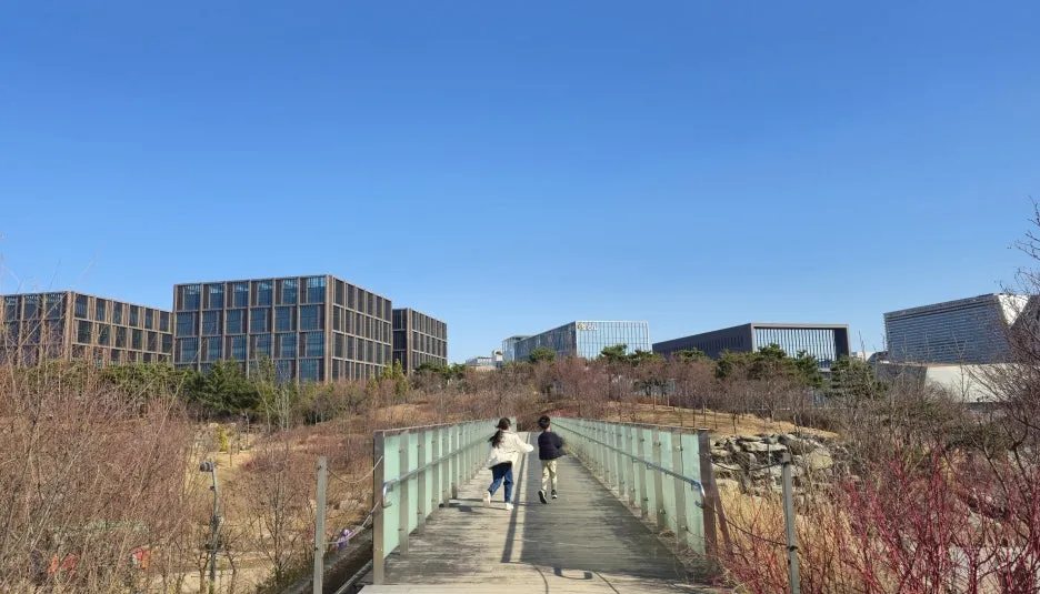 SE-e4971703-ad45-4755-b0dc-5cc6dfe2d0e4.jpg?type=w1