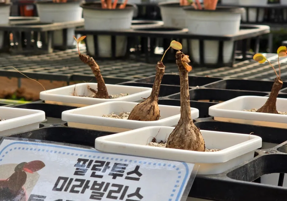 SE-aaf0417a-a63a-4a16-8897-0f9318973db9.jpg?type=w1