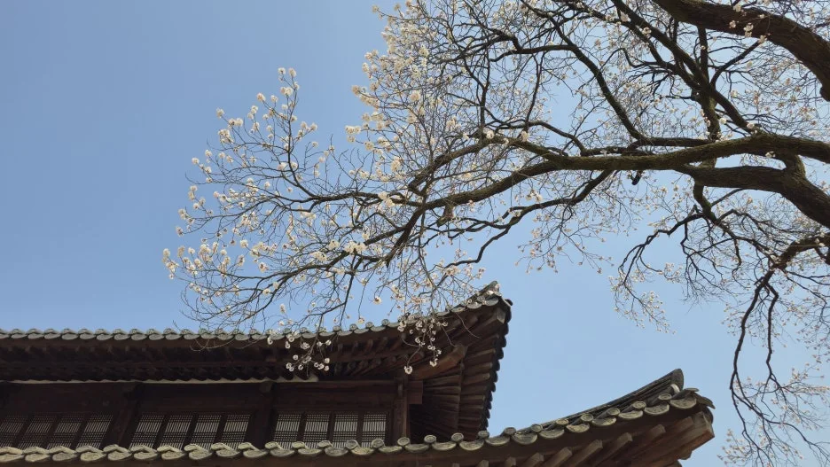 20260328_110051.jpg?type=w1