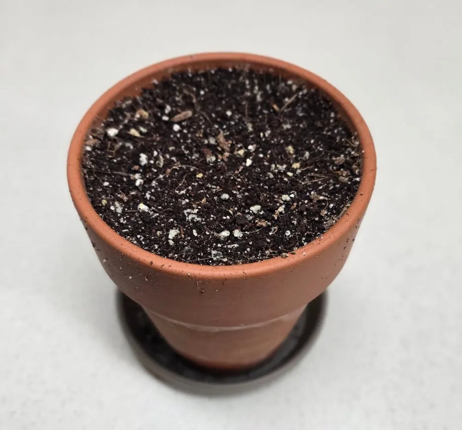 SE-505a8641-f8cc-443e-9d63-9de259510bb3.jpg?type=w1