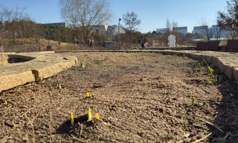 SE-351e5239-c7c2-44c4-af9b-3c341442a218.jpg?type=w1