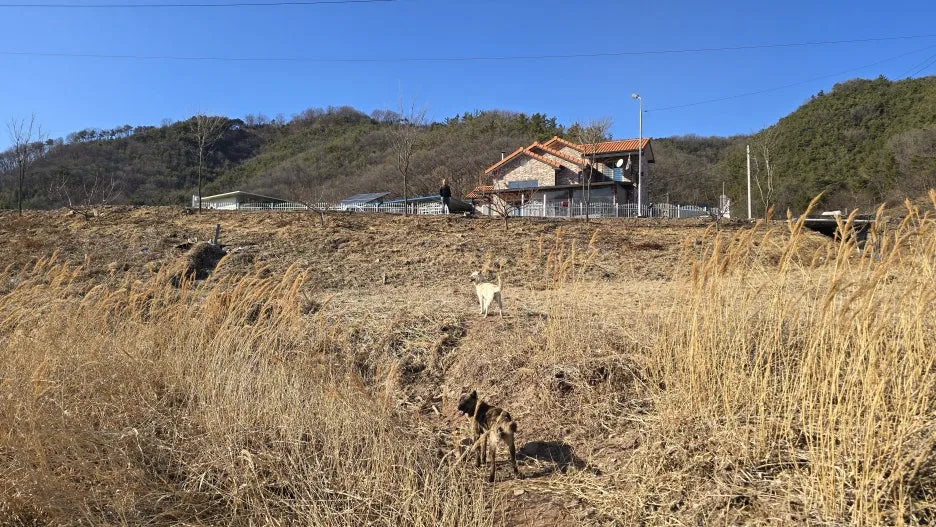 20260217_153247.jpg?type=w1