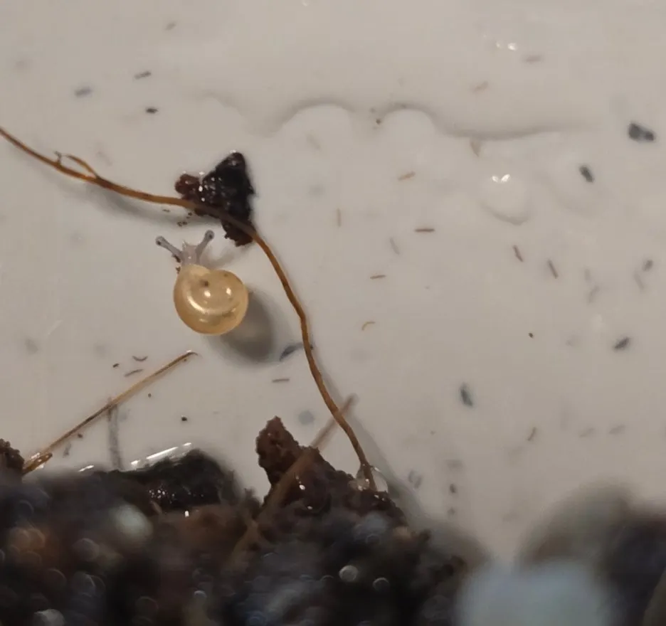 SE-4e40f8f6-8084-4ac8-976a-04287920f4c7.jpg?type=w1