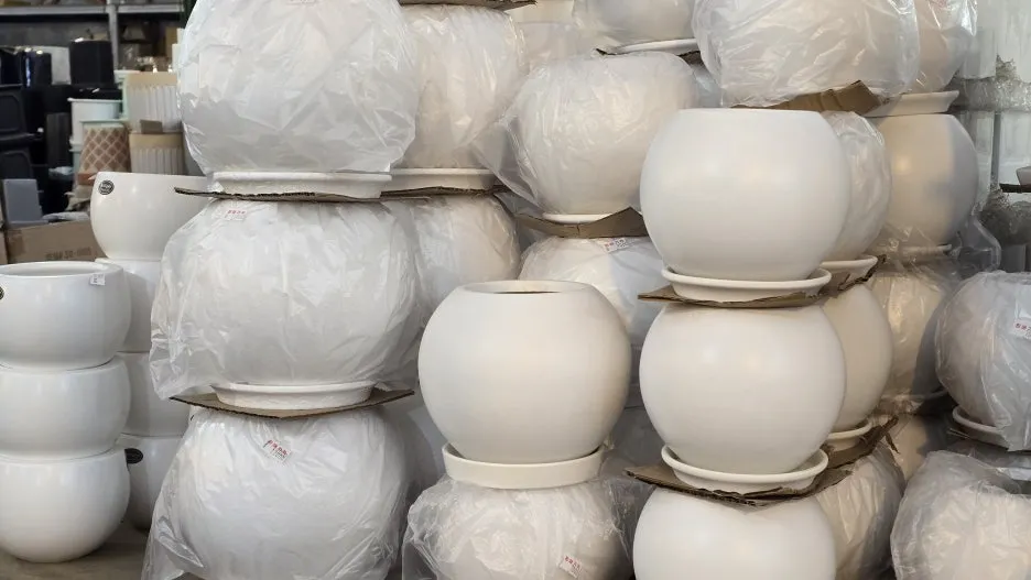 20260302_113013.jpg?type=w1