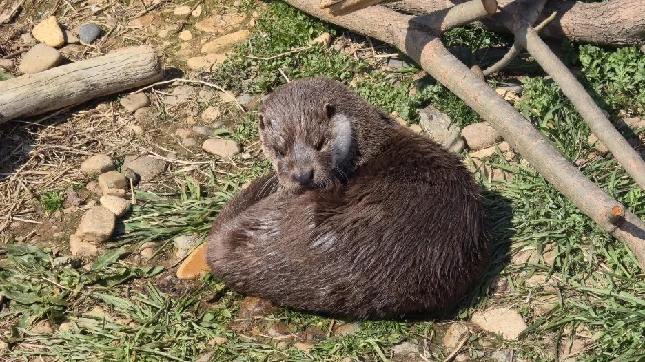 20260321_143338.jpg?type=w1