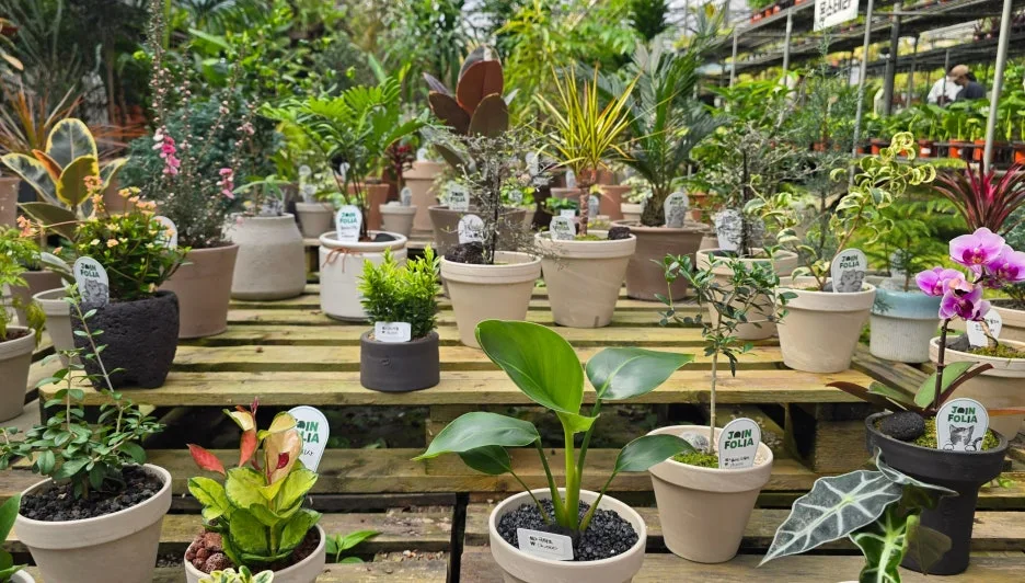 SE-35444fc5-5eec-4cef-ac12-af4798aac80e.jpg?type=w1