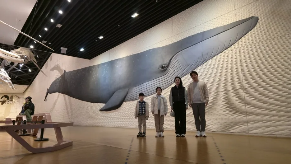 20260322_112542.jpg?type=w1