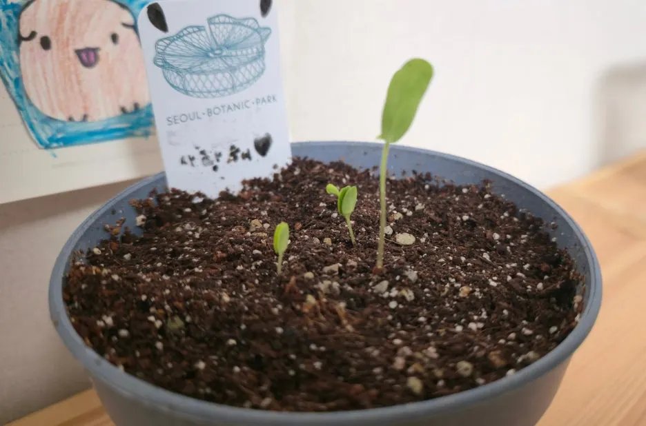 SE-90ee0cc6-7dce-49e5-bcdb-0541f922802c.jpg?type=w1