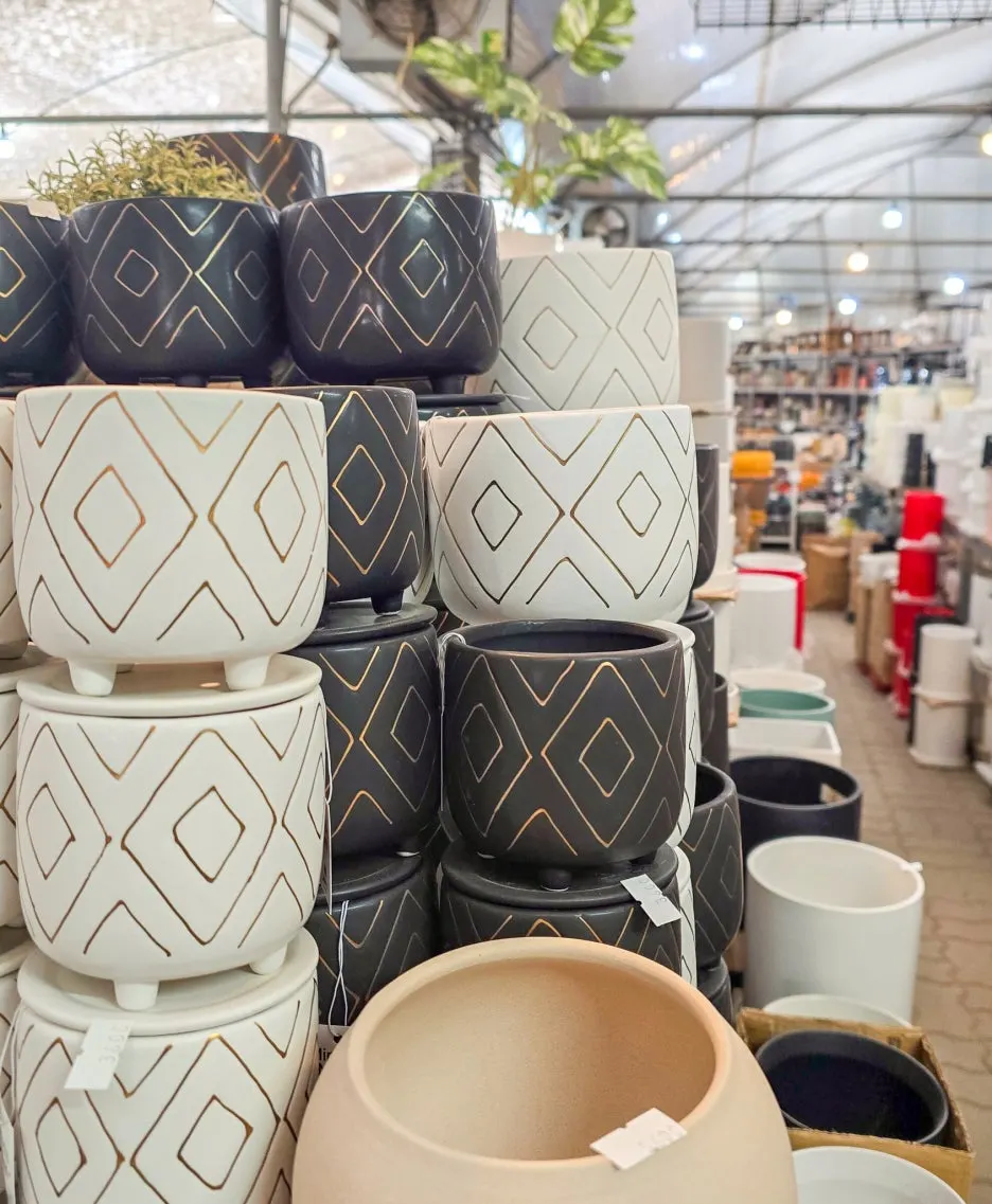 SE-9e7bea90-b33c-4bd8-91a6-9316784d7dd5.jpg?type=w1