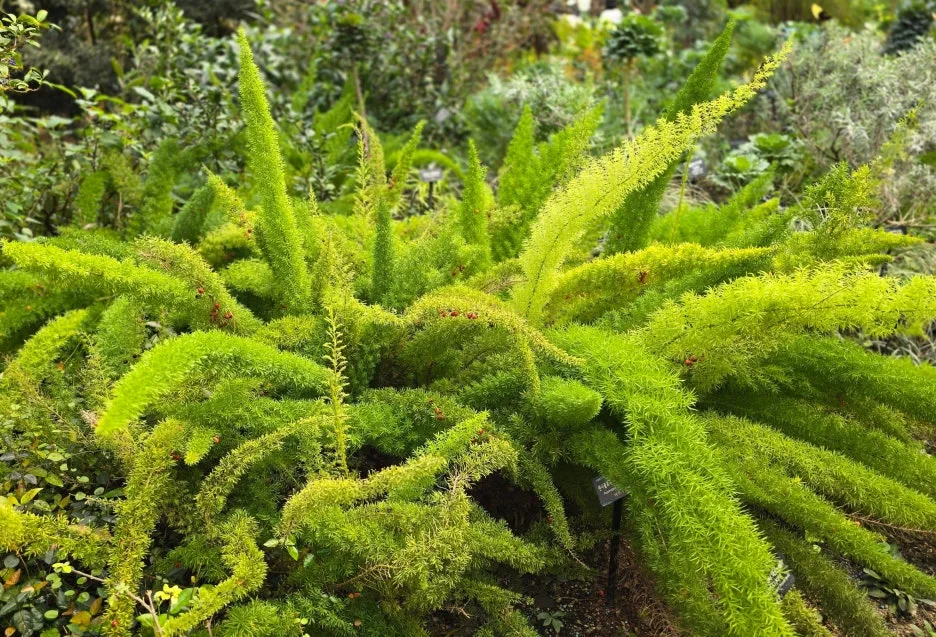 SE-03692481-b8e5-4c95-b9eb-b6ec9a3a389e.jpg?type=w1