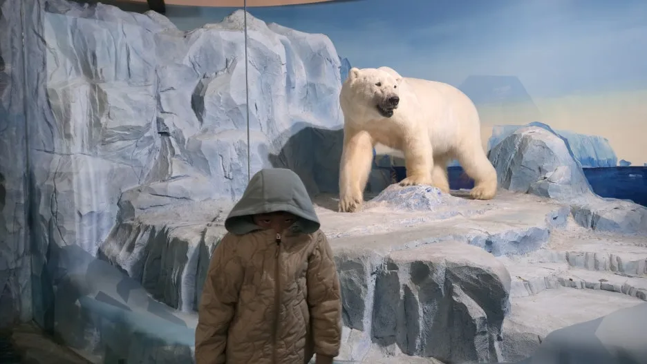 20260321_152533.jpg?type=w1