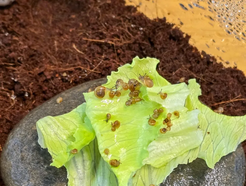 SE-25b61ff8-4772-485f-84aa-88fec3e62c53.jpg?type=w1