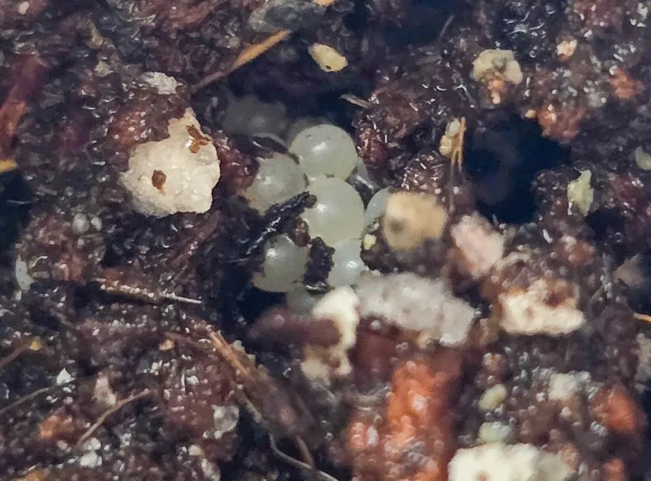 SE-453be853-fb3e-408f-88d8-baa43396632c.jpg?type=w1