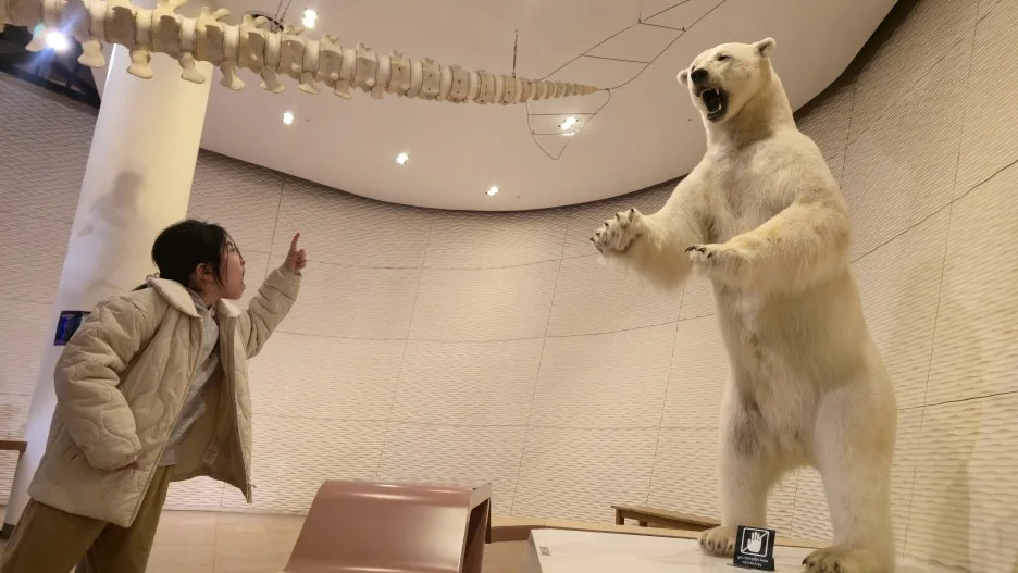 20260322_111758.jpg?type=w1